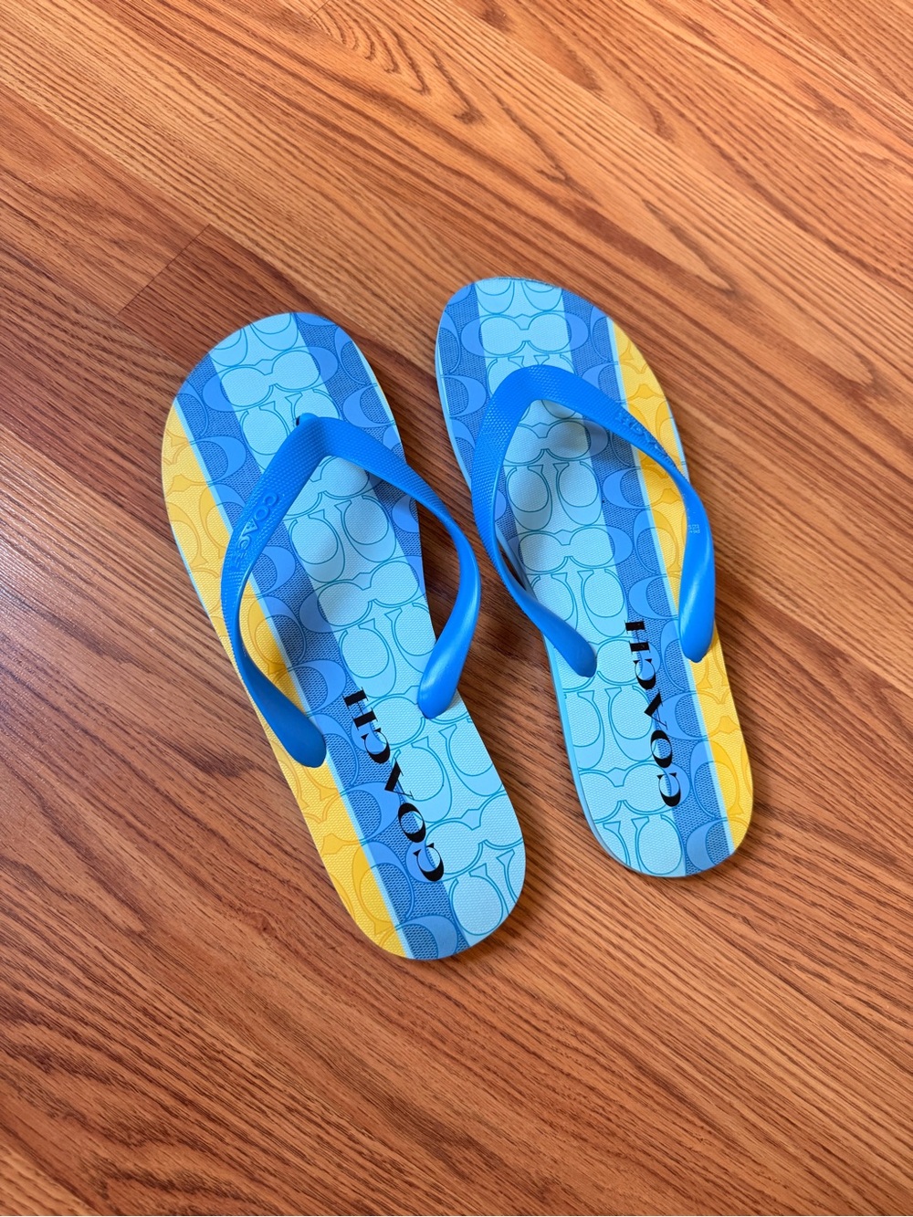 Coach Zak Beach flip-flop sandals blue yellow striped Size 9-10
